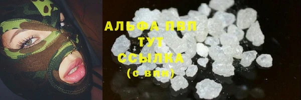 спиды Нефтекумск