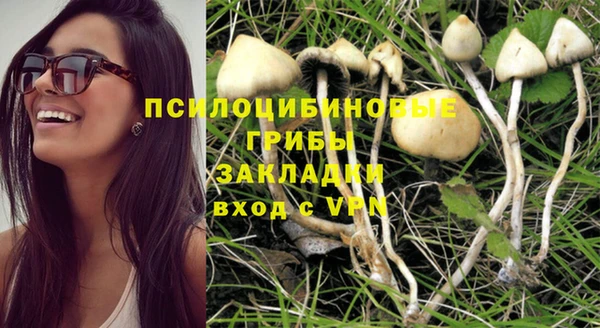 apvp Надым