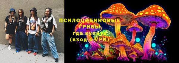 соль ск Нефтегорск