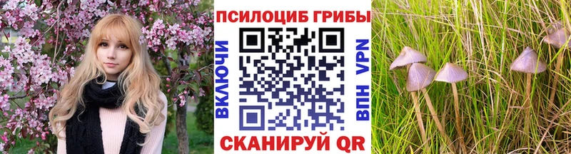 Псилоцибиновые грибы мухоморы Кяхта